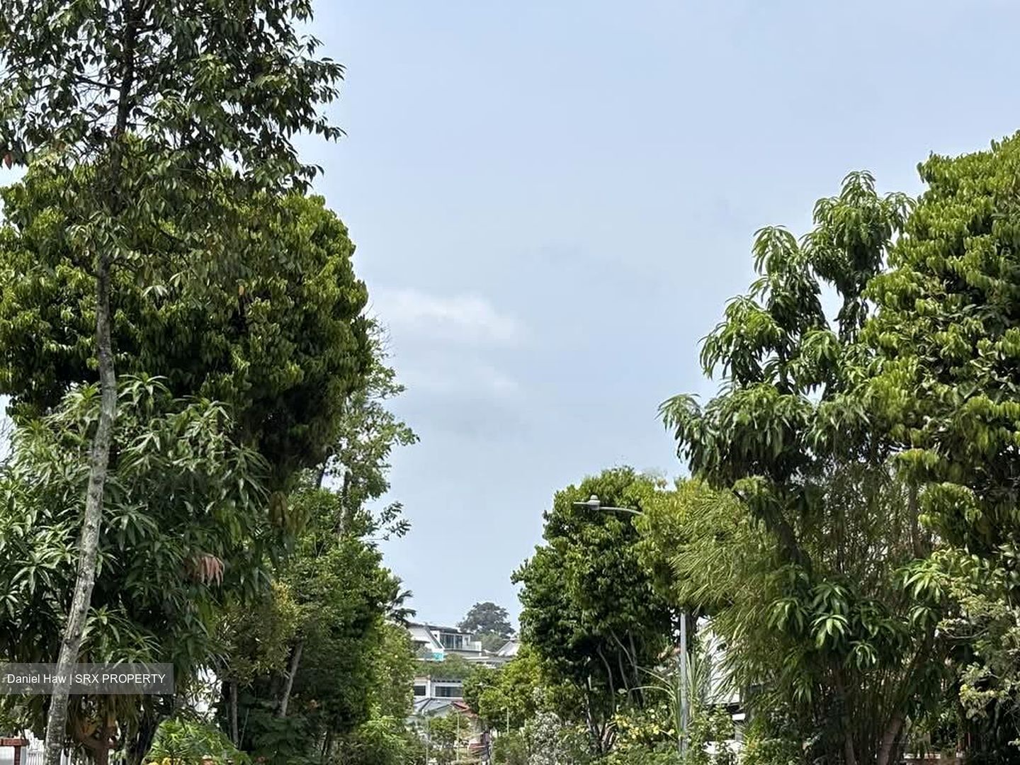 Bamboo Grove Park (D23), Semi-Detached #576304751